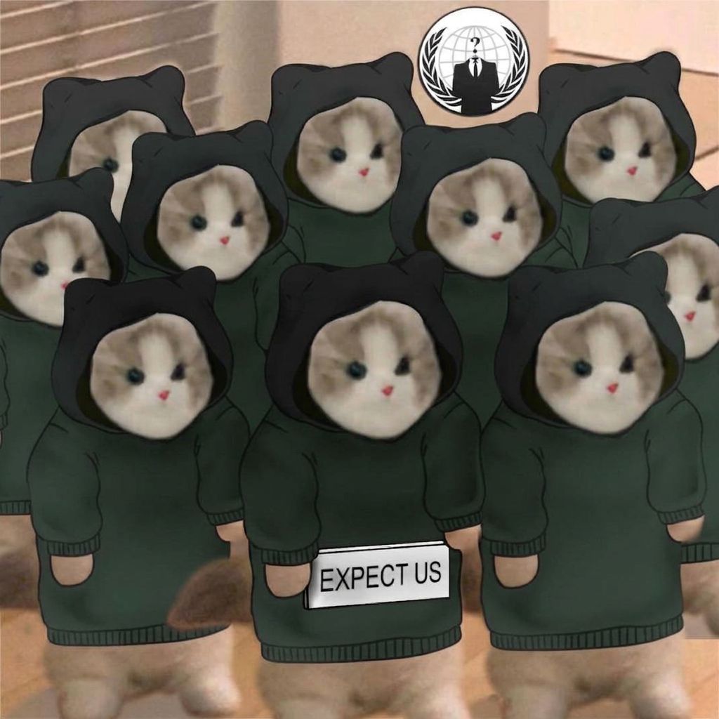 Expect Us