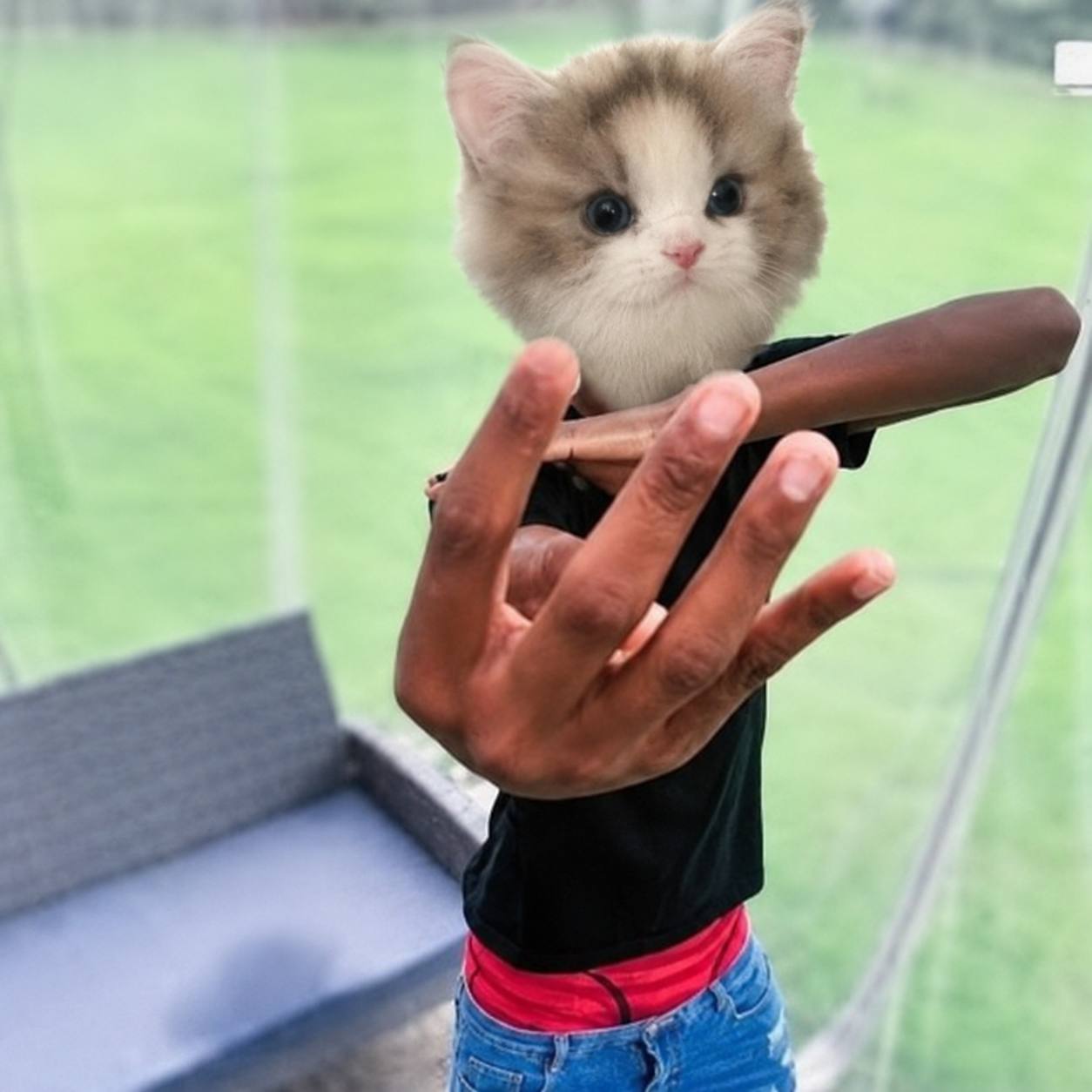 Cigar Kitten