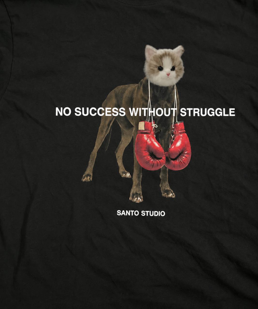No Success Without Struggle