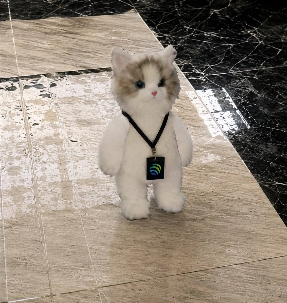 Lanyard MIU