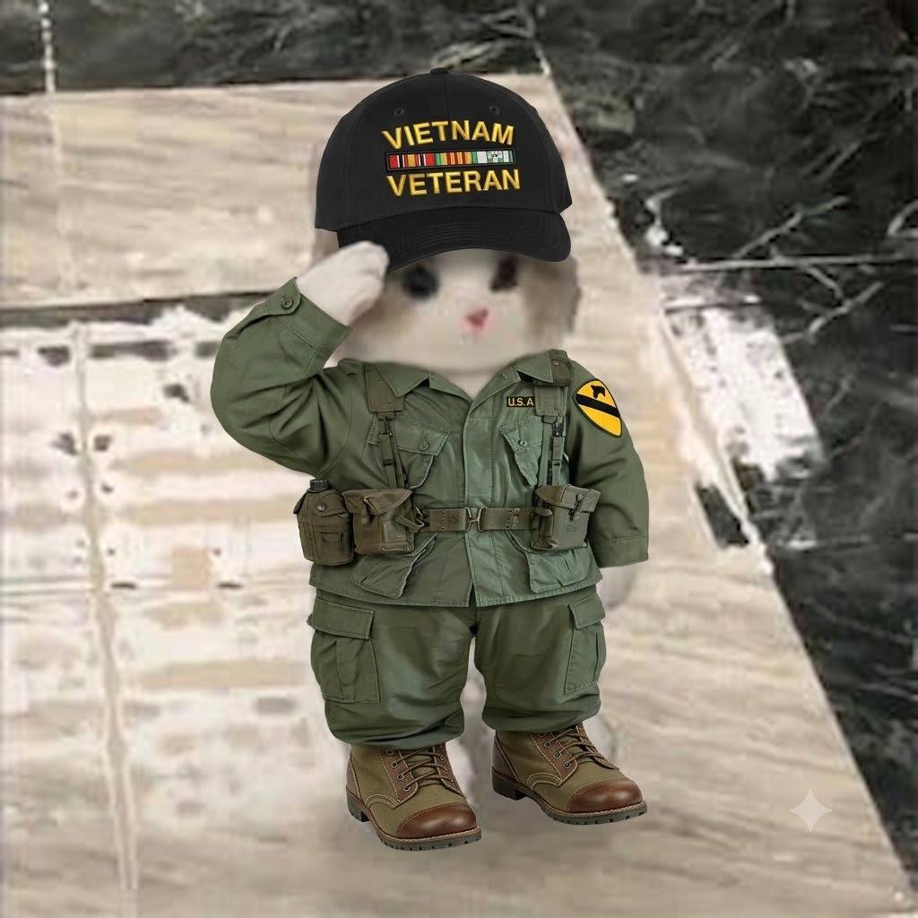 Vietnam Veteran MIU