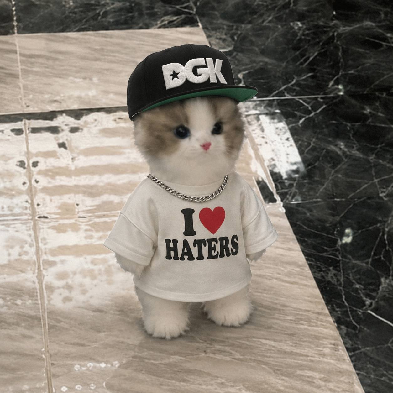 I Love Haters