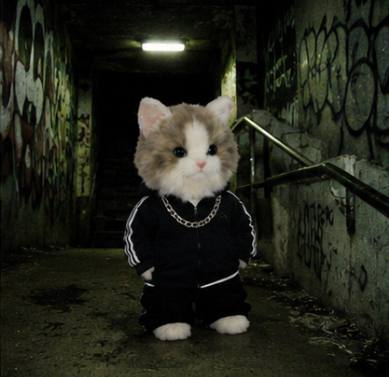 Tunnel MIU